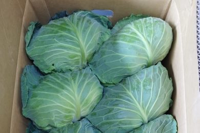 ㈱丸勘山形青果市場様、ありがとうございました！